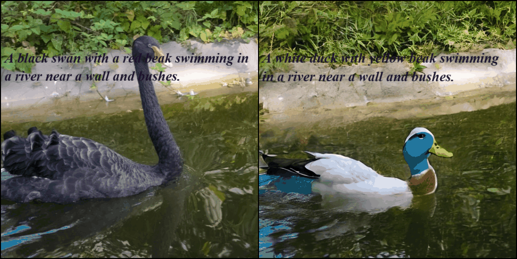 Swan transformation variation